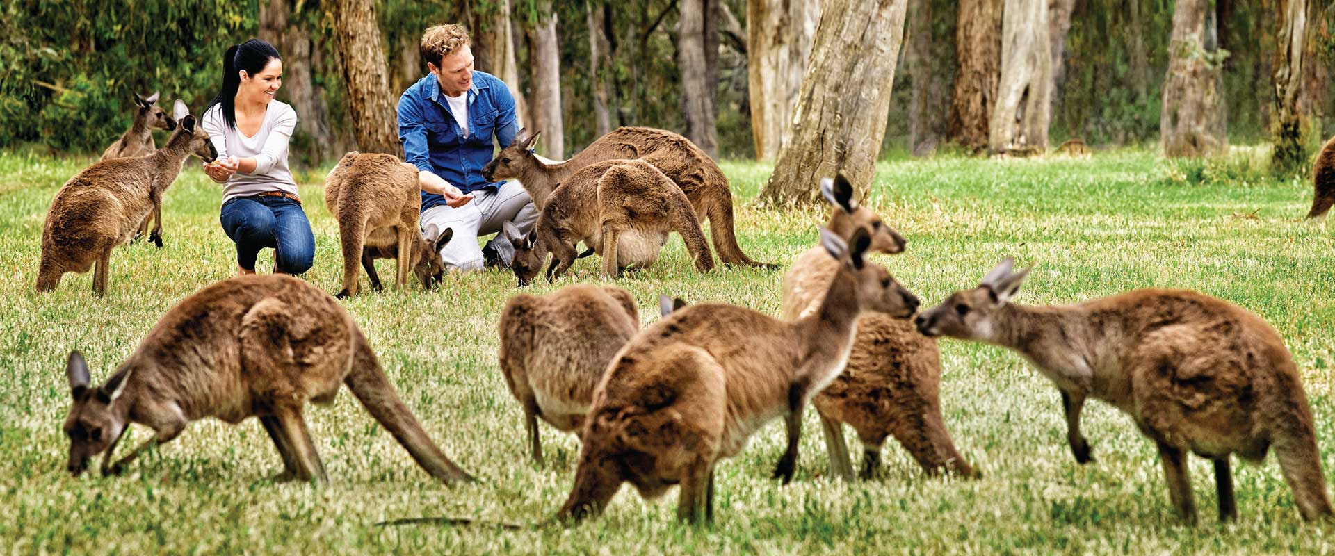 Cleland Wildlife Park, Adelaide Hills