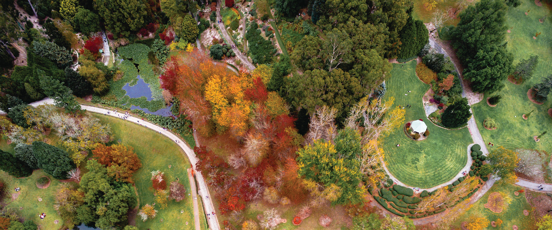 The Mount Lofty Botanic Garden, Adelaide Hills