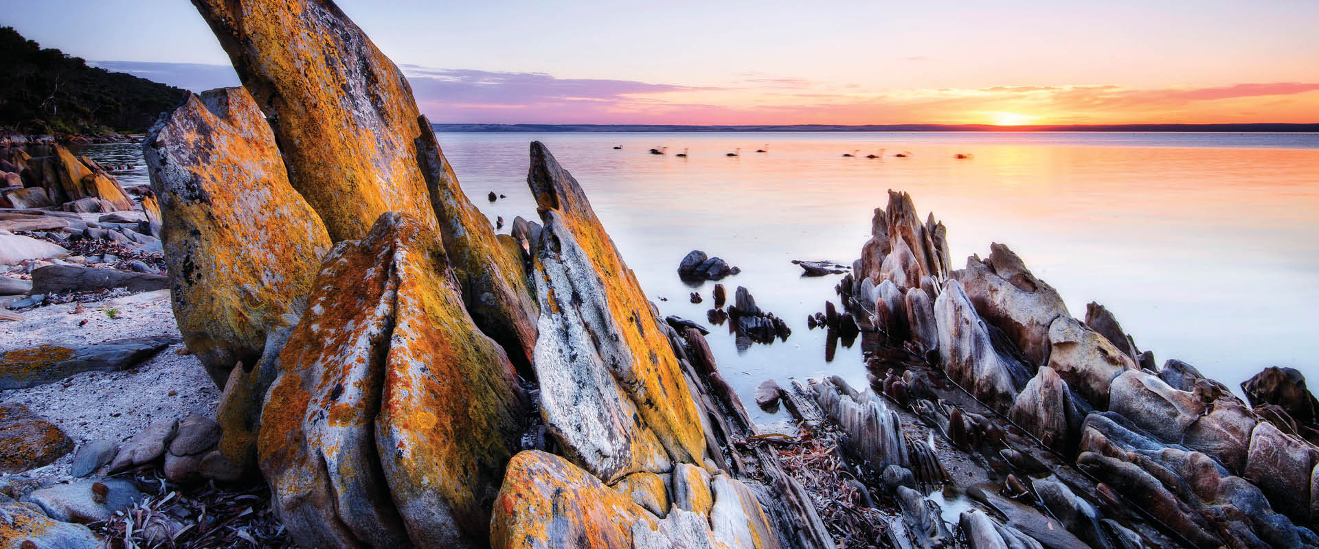 American River, Kangaroo Island