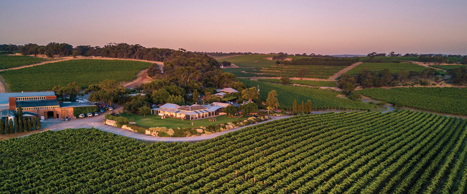 Gather at Coriole, McLaren Vale